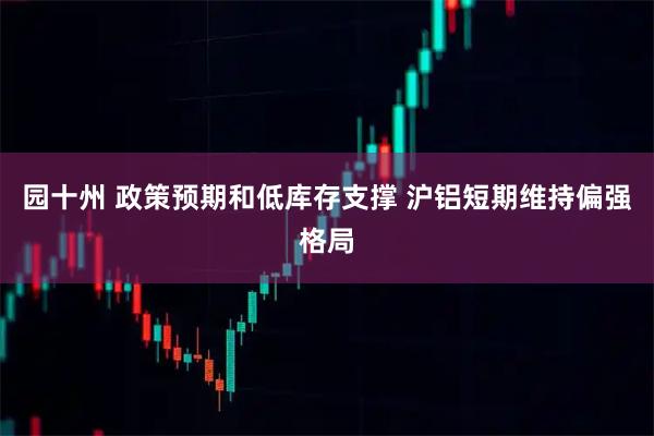 园十州 政策预期和低库存支撑 沪铝短期维持偏强格局