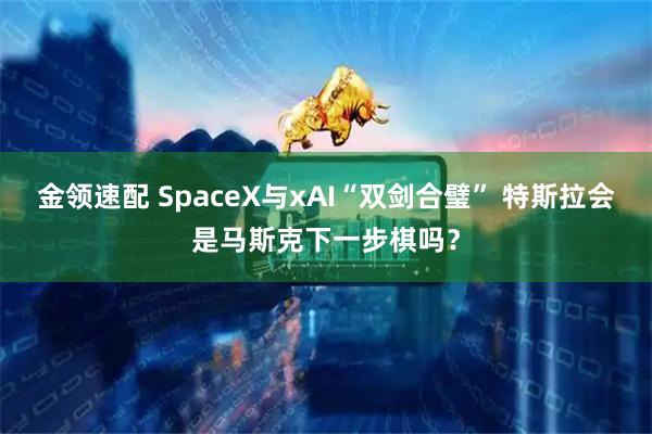 金领速配 SpaceX与xAI“双剑合璧” 特斯拉会是马斯克下一步棋吗?