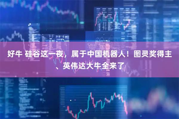好牛 硅谷这一夜，属于中国机器人！图灵奖得主、英伟达大牛全来了